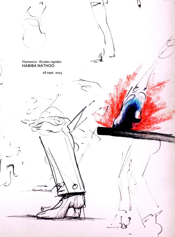 FLAMENCO études - Habiba Nathoo 2015